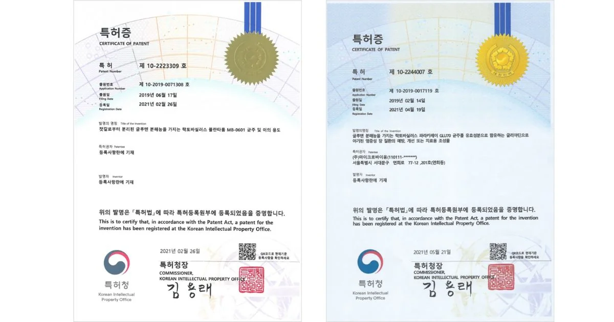 グルテン分解　エビデンス