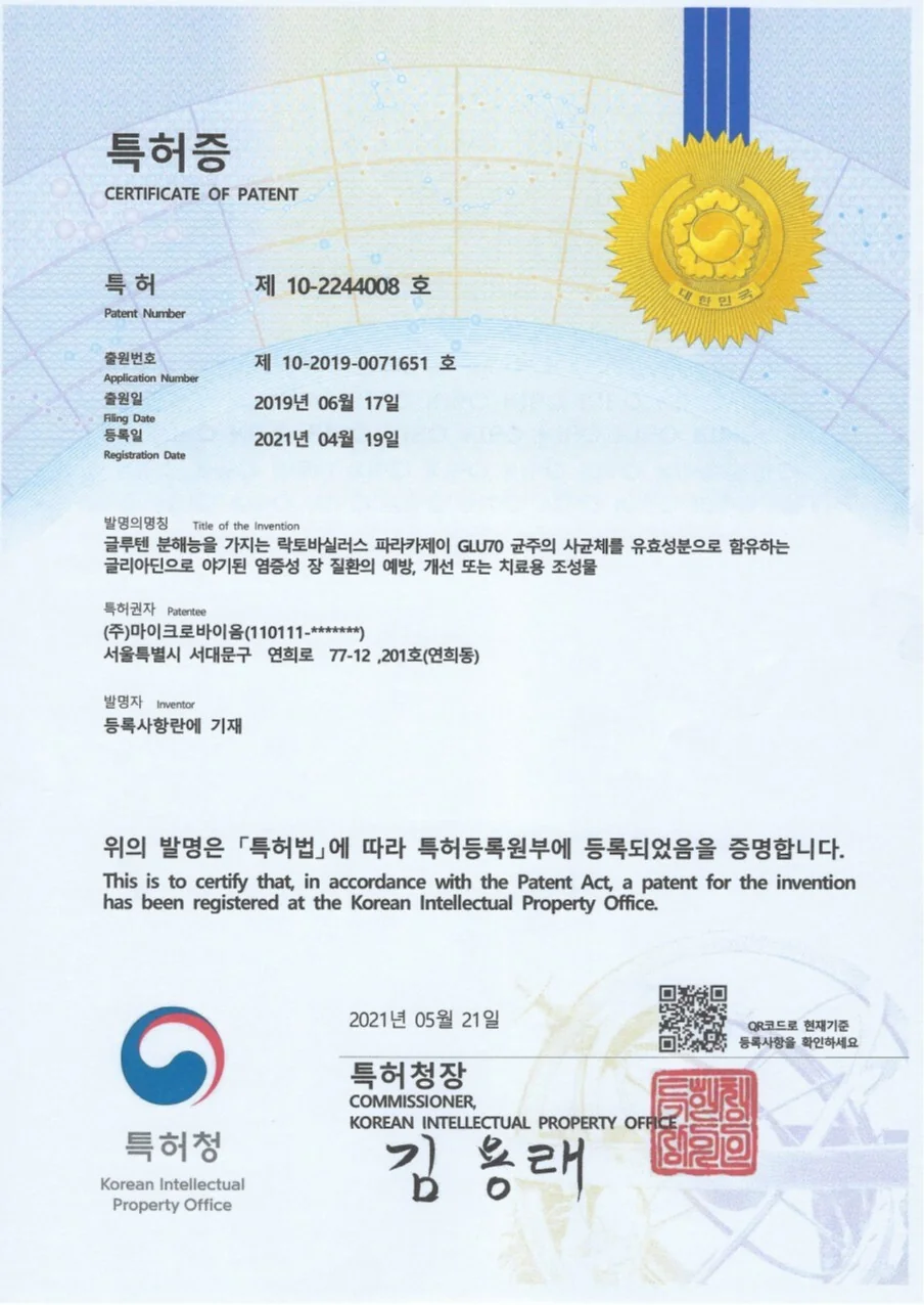 Dglu-MB2 特許証明書