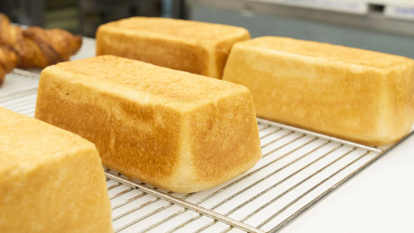 グルテン分解乳酸菌×食パン