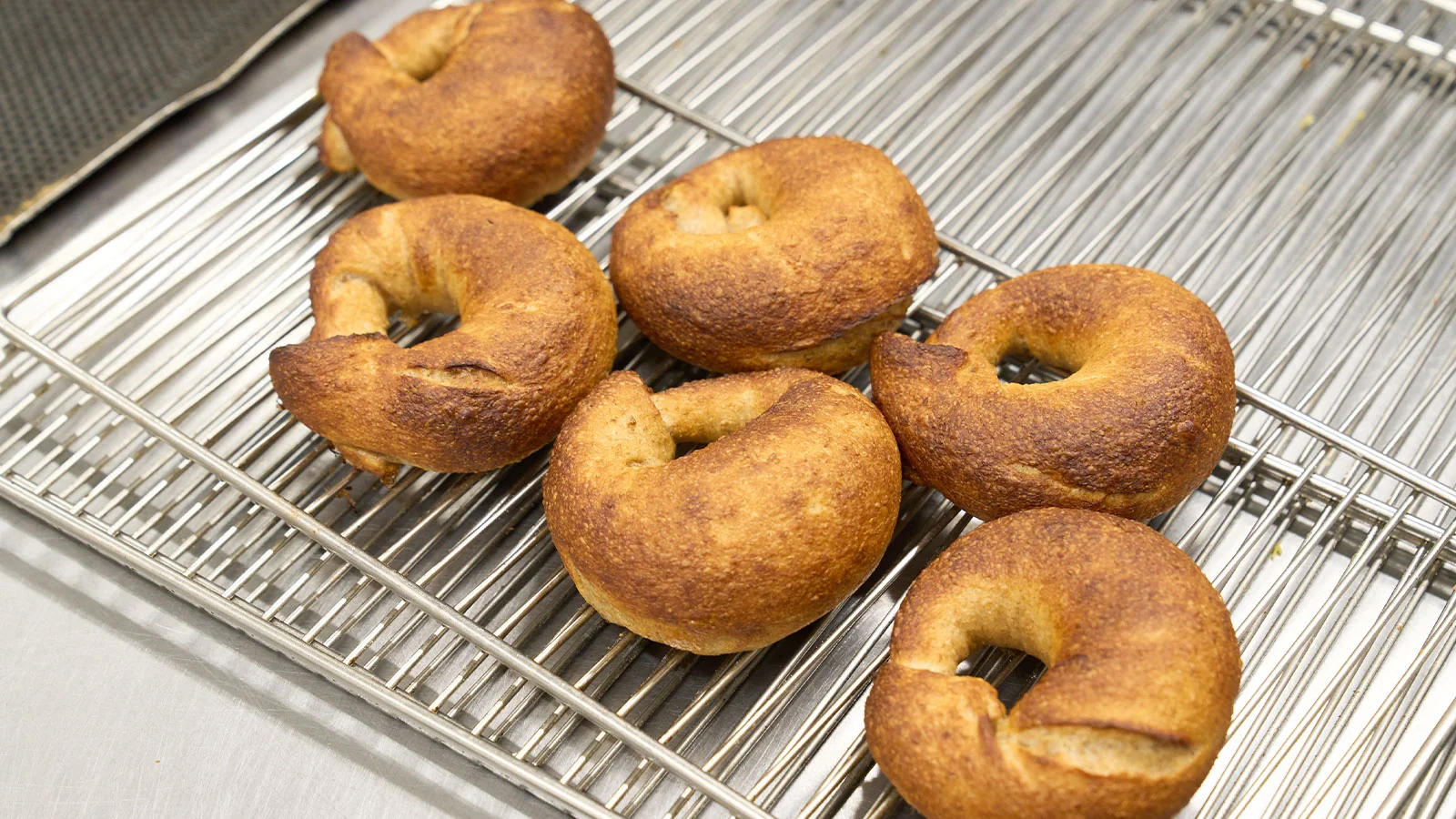 グルテン分解乳酸菌 × ベーグル