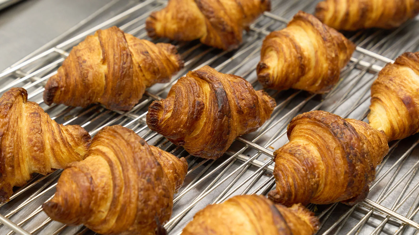 グルテン分解乳酸菌×クロワッサン