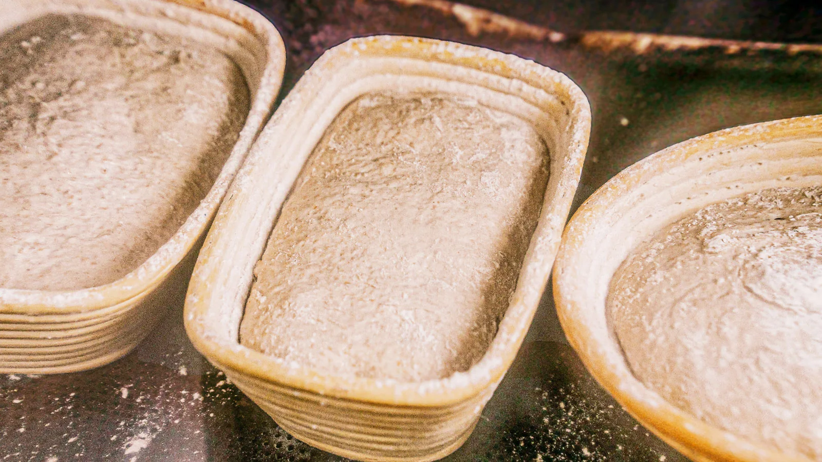 グルテン分解乳酸菌の効果でカンパーニュの熟成が大幅短縮