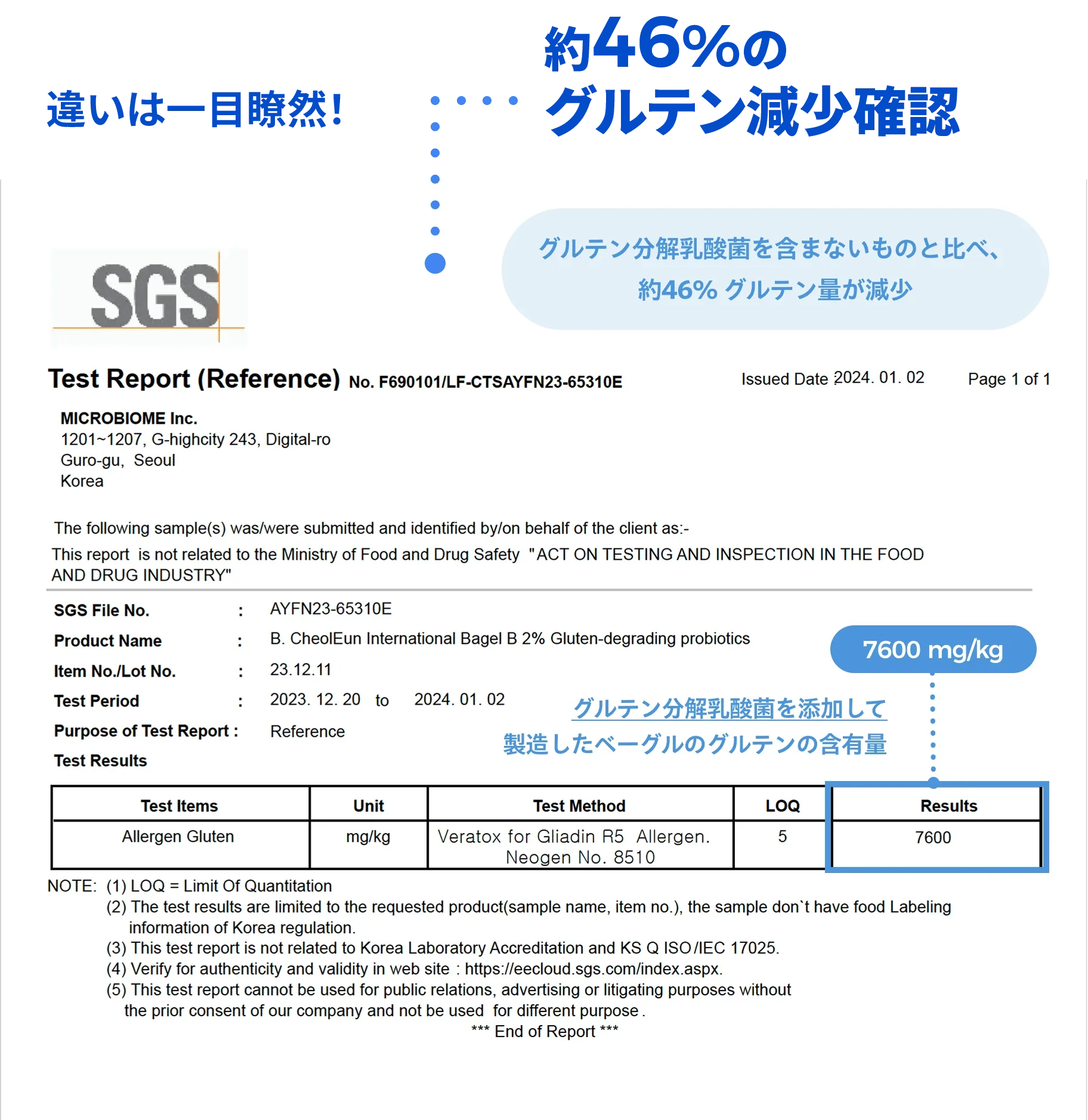 違いは一目瞭然！約46%のグルテン減少確認