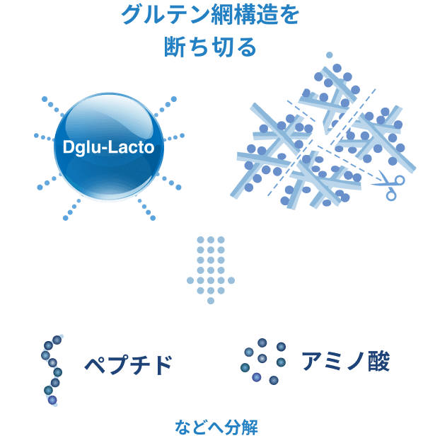 グルテン分解の仕組み
